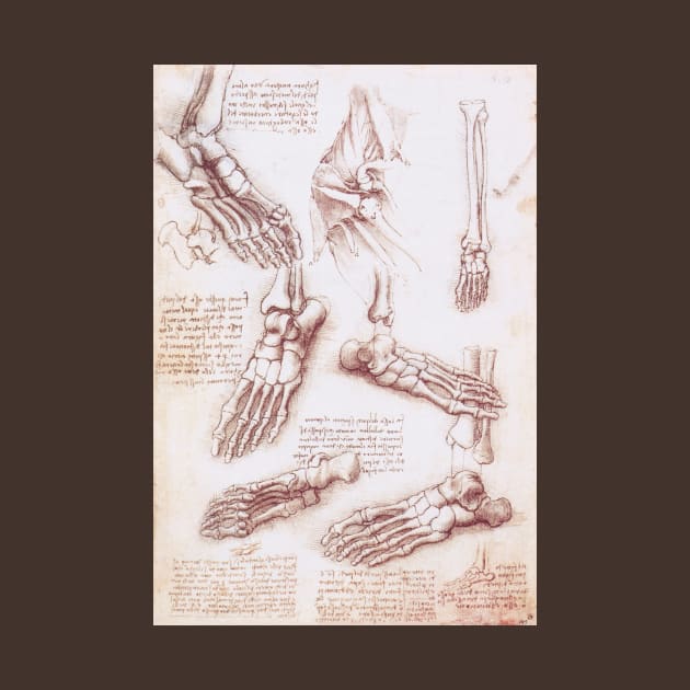 Human Anatomy Skeleton Foot Bones by Leonardo da Vinci by MasterpieceCafe