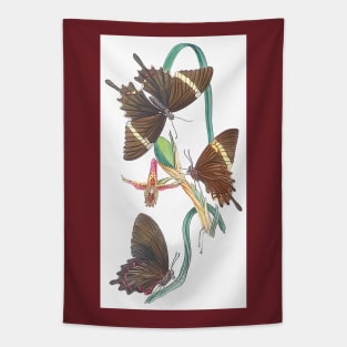 Swallowtail Butterflies with Orchid Tapestry