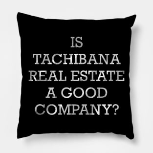 IS TACHIBANA REAL ESTATE A GOOD COMPANY? Pillow