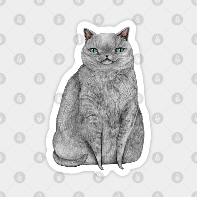 Grey Cat Magnet by Sophie Corrigan