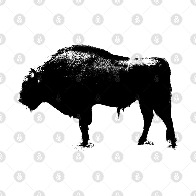 bison t-shirt by hottehue