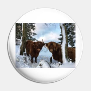 Scottish Highland Cattle Cow and Calf 1619 Pin