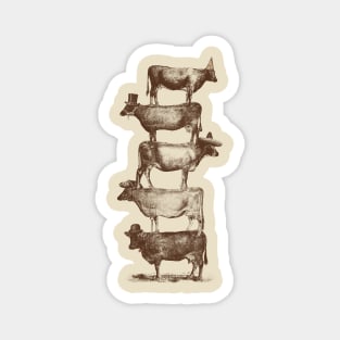 Cow Cow Nuts Magnet