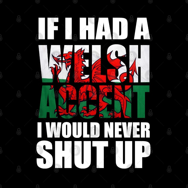 If I had a Welsh Accent Wales Flag by Ireland