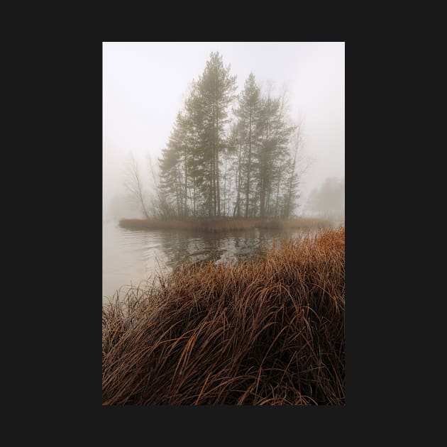 Foggy lake and small island by Juhku