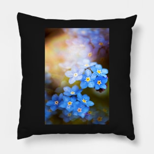 Don't Forget Me no.3863 Pillow