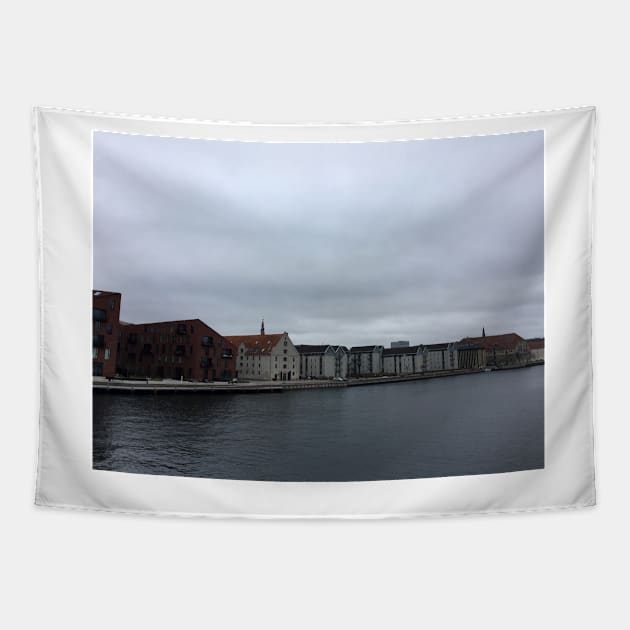 Copenhagen Tapestry by ampp