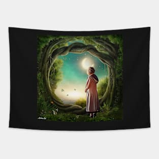 13th doctor / Stillness Tapestry