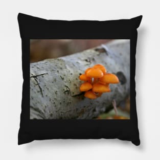 Orange Fungus Pillow