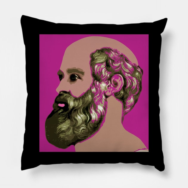 hippocrates Pillow by oryan80