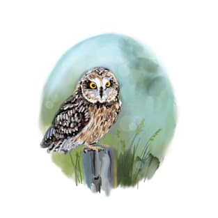 Short eared owl on blue T-Shirt