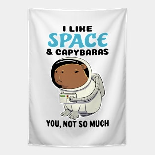 I Like Space and Capybaras you not so much Tapestry