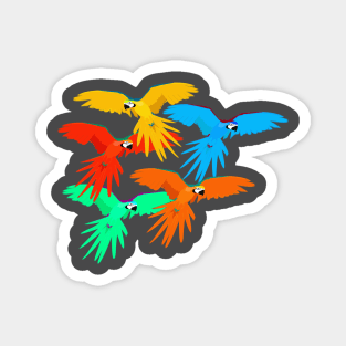 Five Parrots Magnet