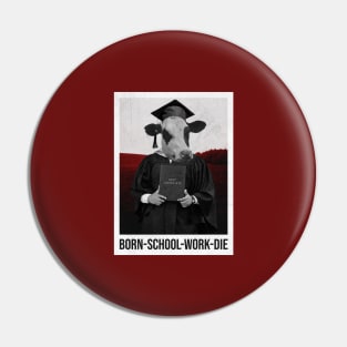 BORN-SCHOOL-WORK-DIE Pin