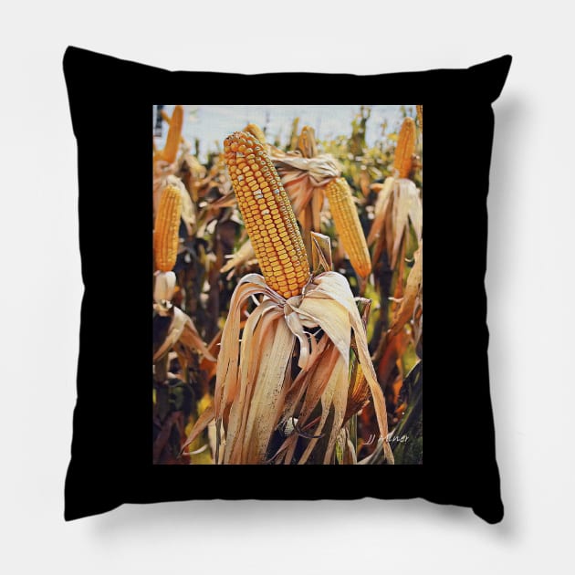 Harvest Season Pillow by Unique Gifts 24/7