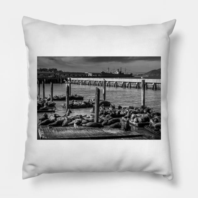 Sea Lions At Pier 39 San Francisco Pillow by Robert Alsop