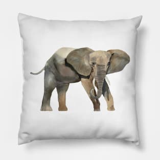 elephant Pillow