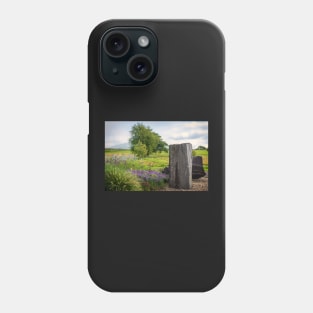 The National Botanic Garden, Carmarthenshire Phone Case