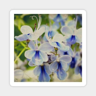 Unique Blue Flower with green leaves nature lovers beautiful photography design Magnet