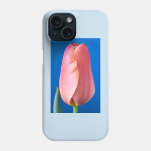 Tulipa  &#39;Stunning Apricot&#39;   Single Late Tulip Phone Case