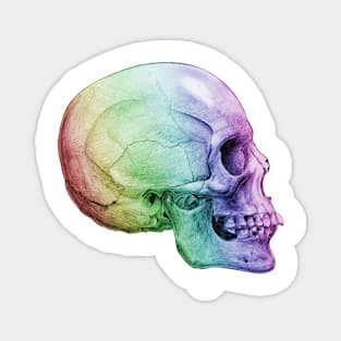 Rainbow Skull Magnet