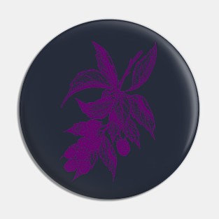 Blackberries Pin