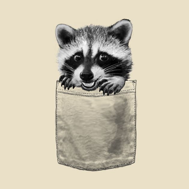 Raccoon in Pocket by LauraGraves