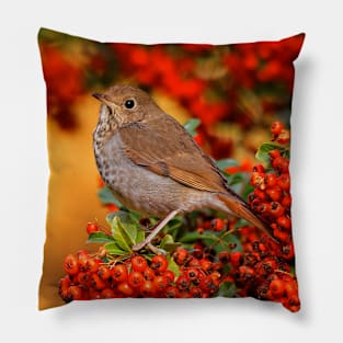 Stunning Hermit Thrush Songbird Amid the Colors of Autumn Pillow