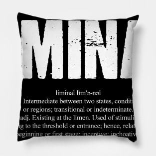 Liminal Dictionary Word Definition Pillow
