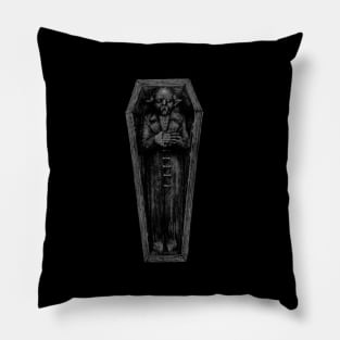 Vampire in a coffin Pillow