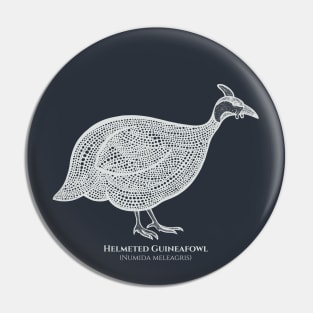 Helmeted Guineafowl with Common and Scientific Names - pretty bird design Pin