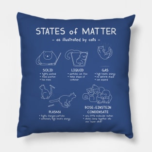 States of Matter, illustrated with cats Pillow