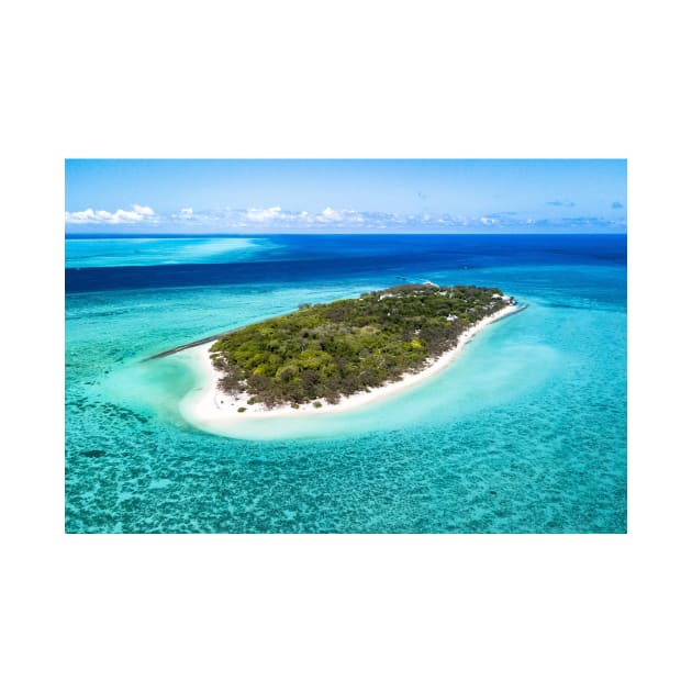 Heron Island by COLOURZONE