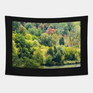 Autumn Breeze Tapestry