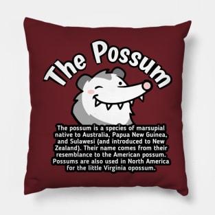 The Possum Pillow