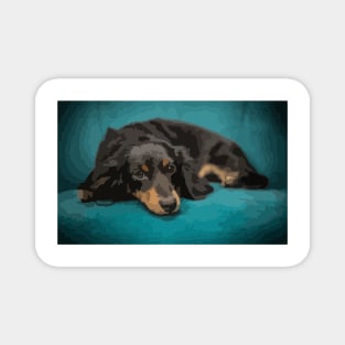 Cute Dachshund Digital Painting Magnet