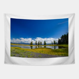 Peaceful Shoreline, Lake Yellowstone Tapestry