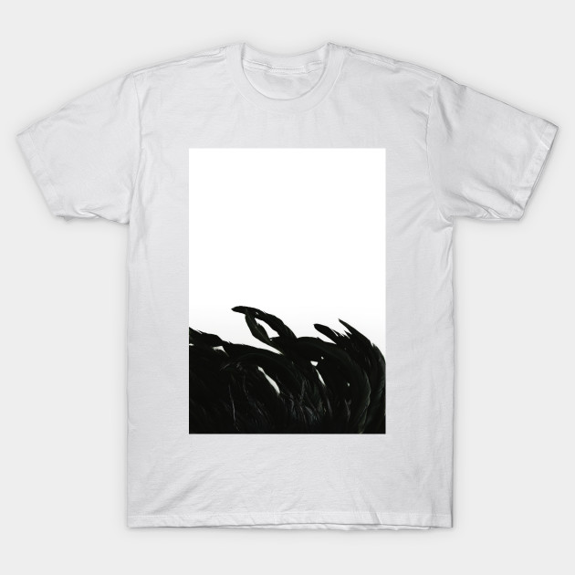 black raven shirt