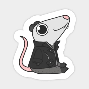 Opossum in a jacket Magnet
