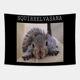 Squirrel Yoga Tapestry