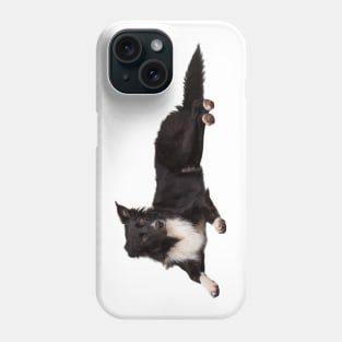 border collie Phone Case