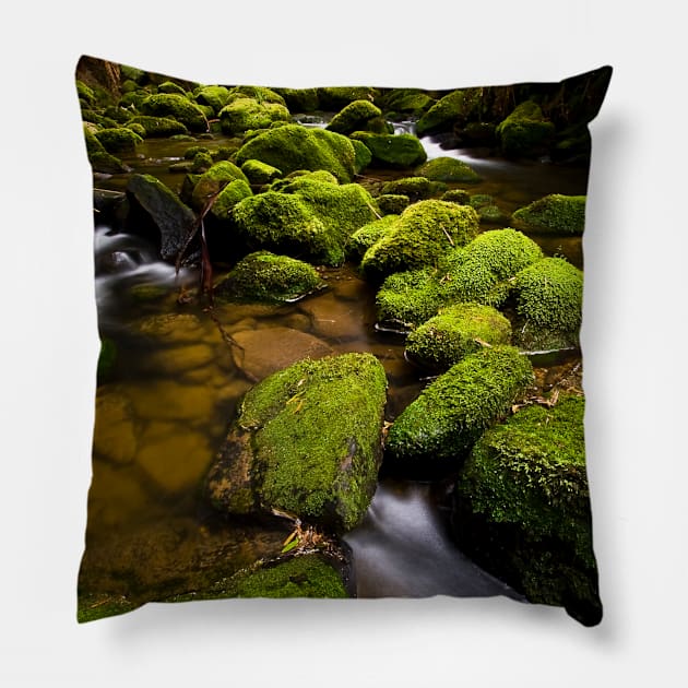 Flowing Pillow by paulmp