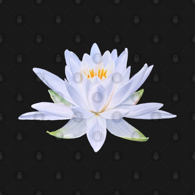 My Ghost - waterlily blossom by EmilyBickell