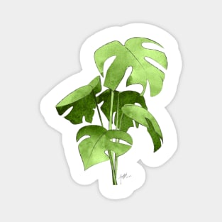 Monstera Deliciosa Magnet