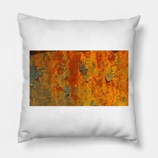 Natures RUST ART Patterns number THREE Pillow