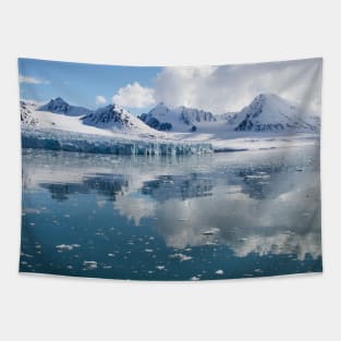 Snow and Ice Tapestry