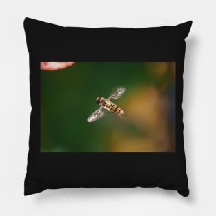 The Hoverfly Pillow