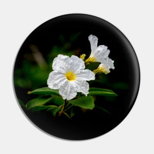 Mexican Olive Tree Blooms Pin