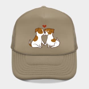 Jack Russell Terrier Kisses Hat