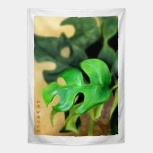 Mini Monstera - White Tapestry